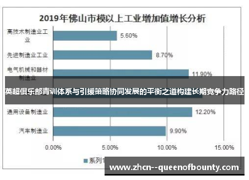 英超俱乐部青训体系与引援策略协同发展的平衡之道构建长期竞争力路径